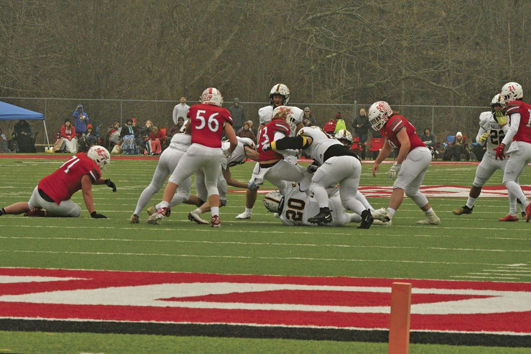Reeds Spring 10 .jpg